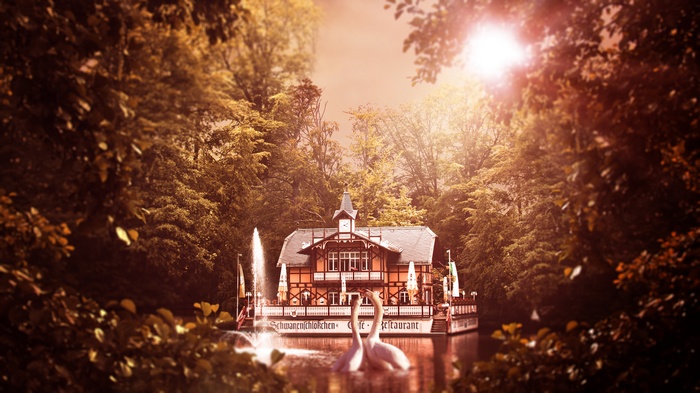 Restaurant and Cafe by the Lake with Swans