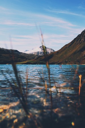 Lake and Snowy Mountains with Grass in Foreground