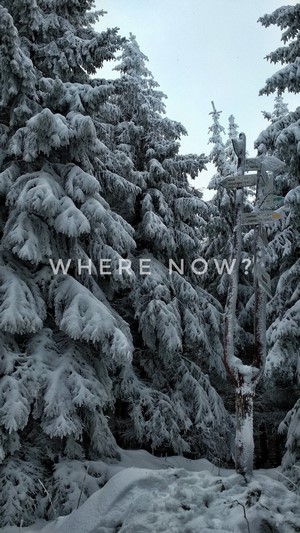 Snow-covered trees and a signpost in Poland