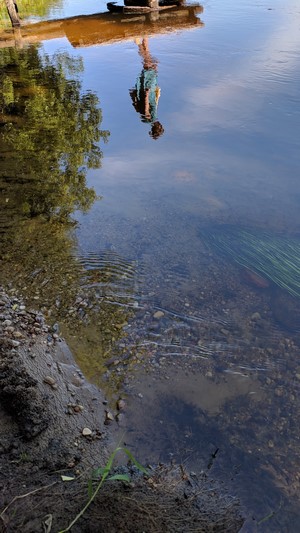 Reflection of a person in a river