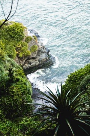 Ocean waves crashing on a rocky cliff with lush green vegetation