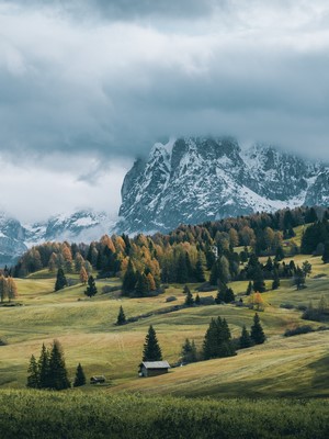 Mountain landscape with trees and a small cabin in Italy