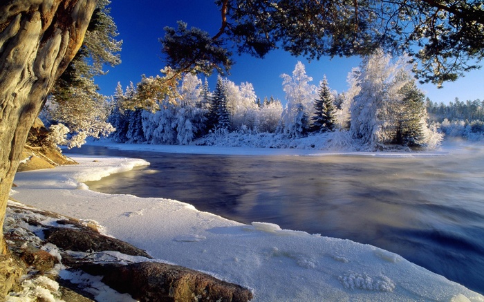 Winter river scene with snow-covered trees and blue sky