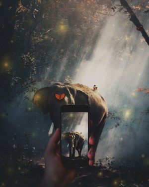 Elephant in a magical forest captured on a smartphone