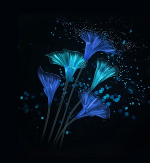 Abstract glowing blue and teal flowers on black background