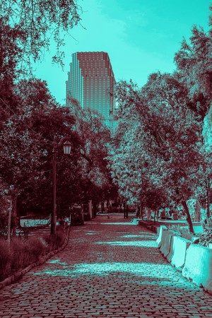 Cobblestone path leading to a modern skyscraper through trees