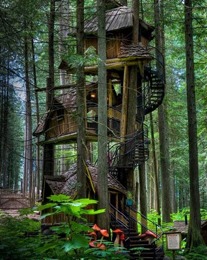 Wooden treehouse with spiral staircase in a forest