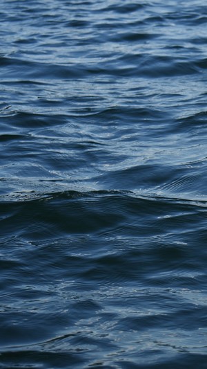 Blue water surface with ripples