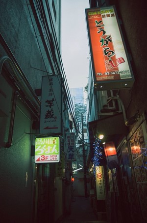 Japanese Alleyway with Neon Signs