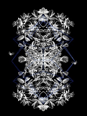 Symmetrical floral illustration with geometric elements and butterflies