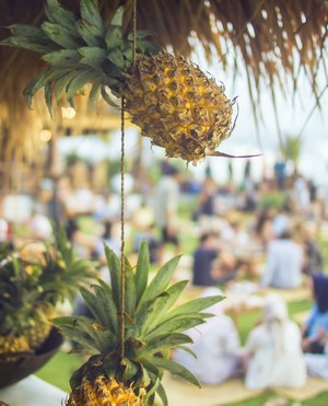 Pineapples hanging at a tropical beach event