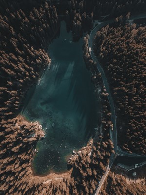 Aerial view of a lake surrounded by a forest and a road