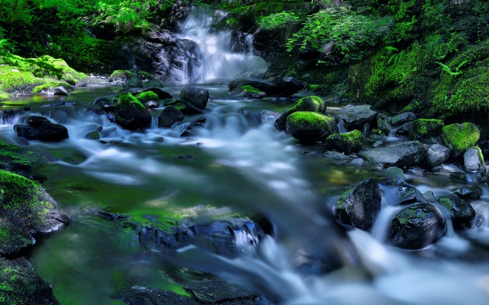 Waterfall in Kirkton Glen Forest