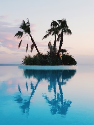 Palm trees on an island reflected in a swimming pool