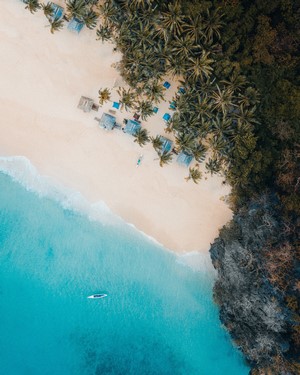 Aerial view of a tropical beach with palm trees and huts