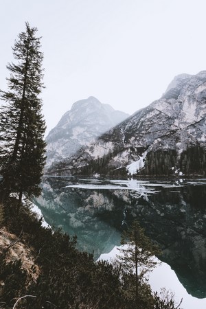 Mountains reflected in a calm lake with trees
