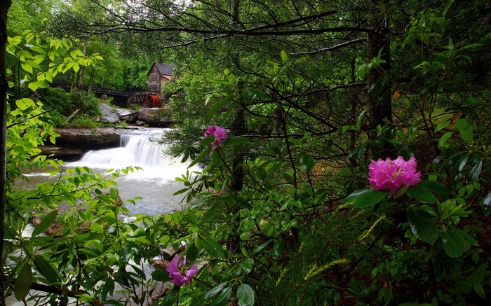 Old mill with water wheel by a waterfall