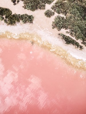 Aerial view of a woman on a pink salt lake shore