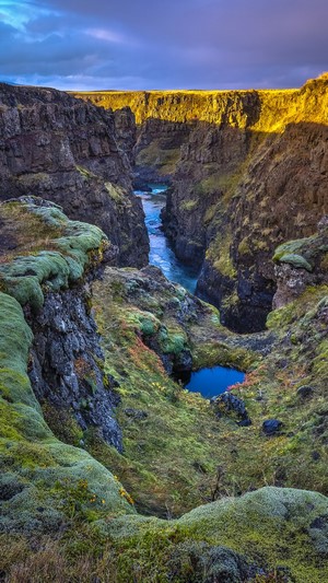 Mossy canyon with river and small pool