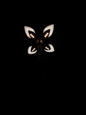 Butterfly-shaped street light at night