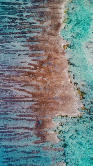 Aerial view of coral reef and shallow water