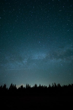 Night sky with stars over a forest silhouette