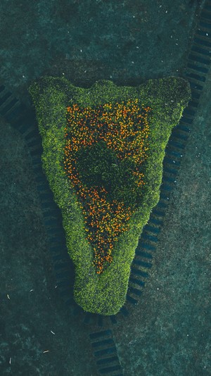 Top-down view of a garden bed shaped like a footprint