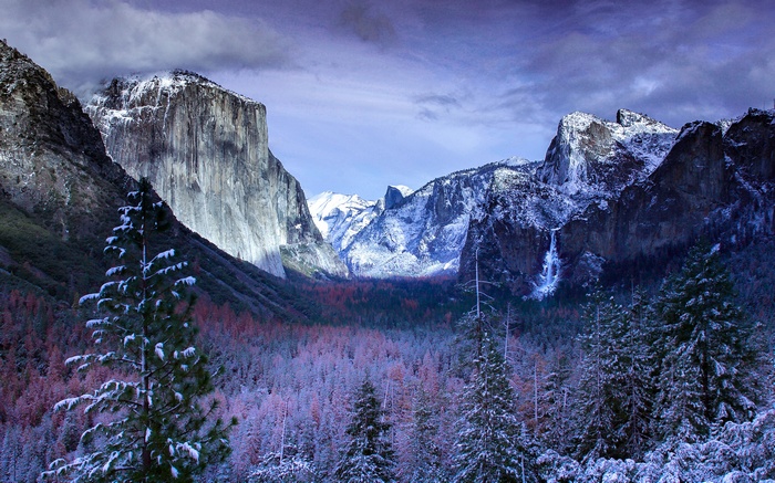 Yosemite National Park in Winter with Snow