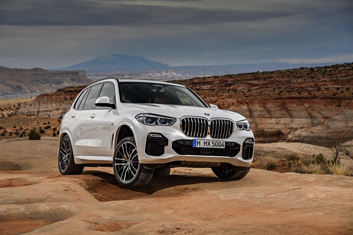 White BMW X5 xDrive30d M Sport in desert landscape