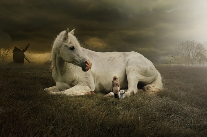 White horse with girl and dog in a field