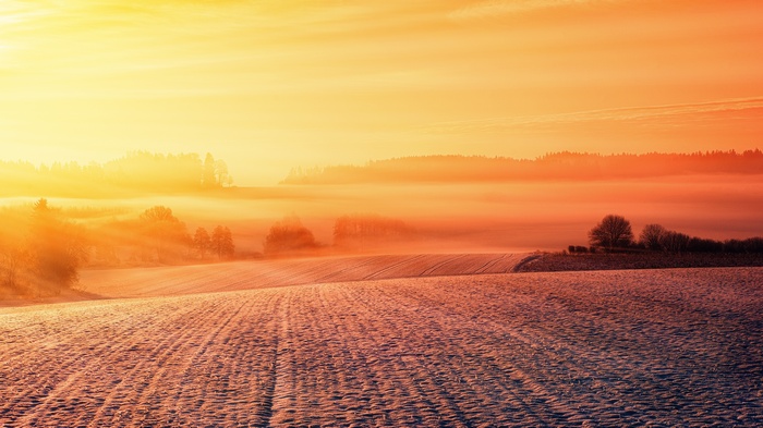 Winter sunset over a misty field