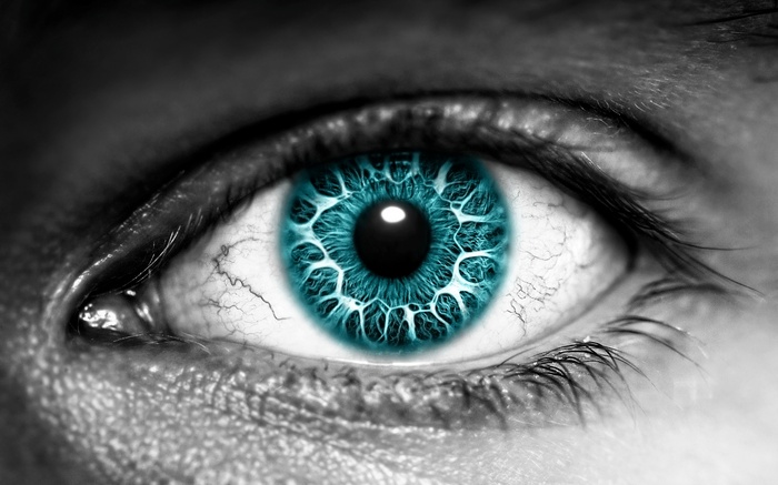 Extreme Close-up of a Blue Iris