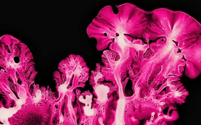 Pink Ink Art Macro Abstract
