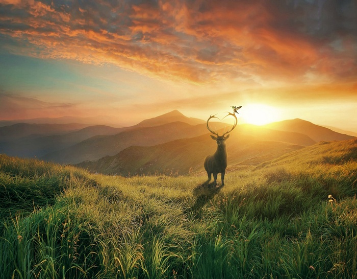 Deer with heart antlers and bird at sunset over mountains