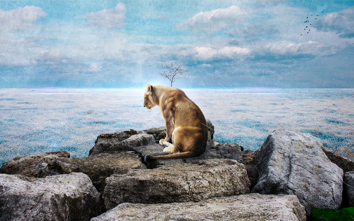 Lion sitting on rocks by the sea