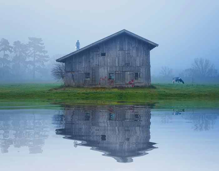Man with Torchlight on Barn Roof in Foggy Landscape with Cow and Lake Reflection