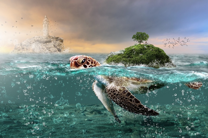 Mystic Tortoise Island 4K
