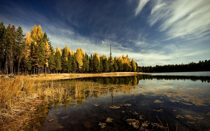 Autumn forest reflected in a calm lake under a cloudy sky