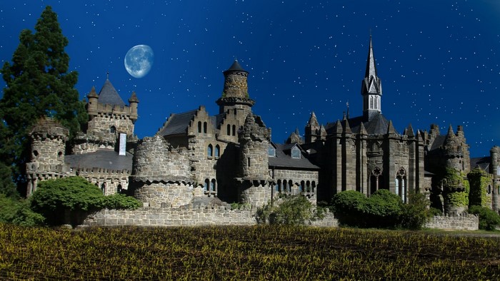Castle at night under a full moon and stars