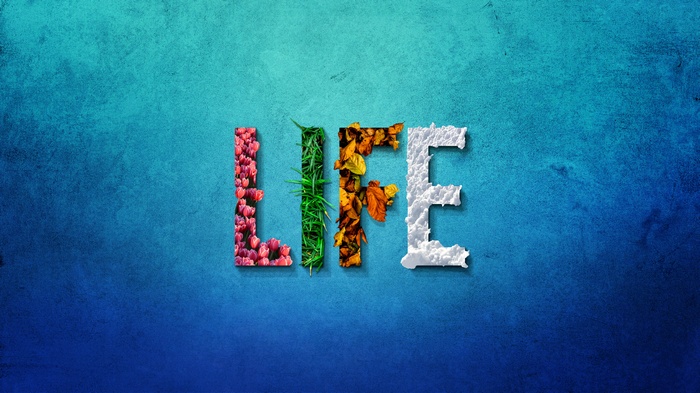 Summer, Winter, Seasons, Life, Autumn, Spring, 5K
