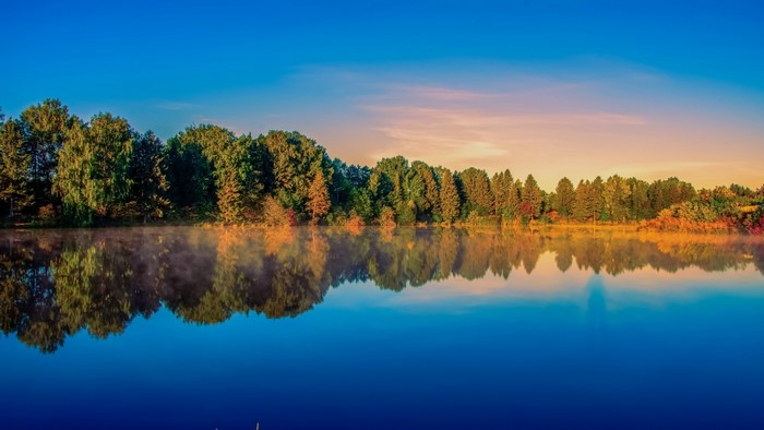 Morning Mist Over Lake with Forest Reflection
