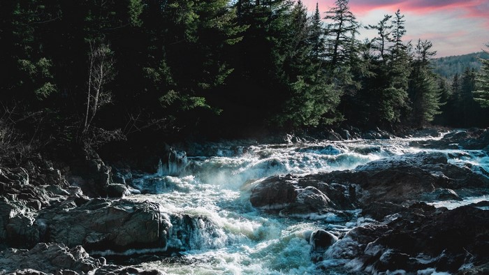 River flowing through a forest with pink sky