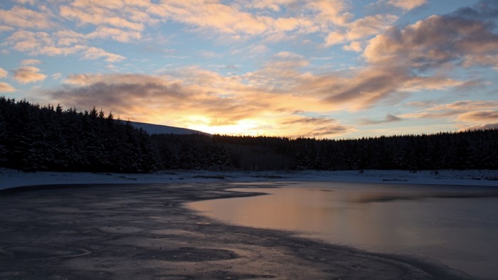 Frozen lake at sunset with pine forest