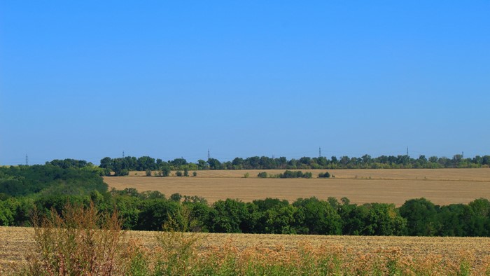 4K Field with Trees and Power Lines