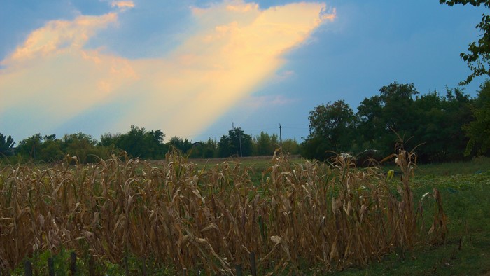 4K Clouds Over Cornfield