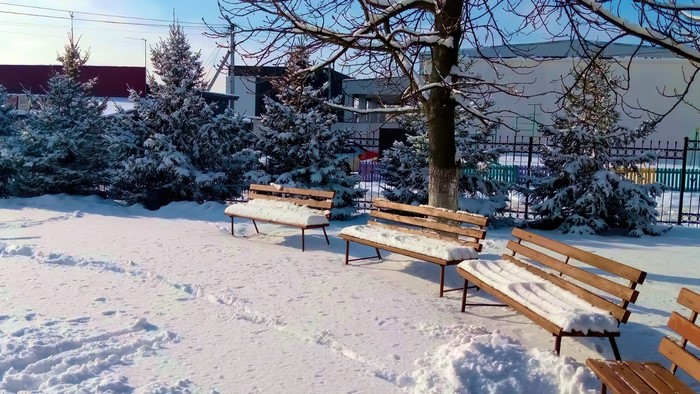 Park benches covered in snow