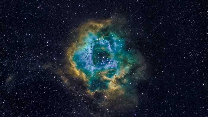 Rosette Nebula in the night sky