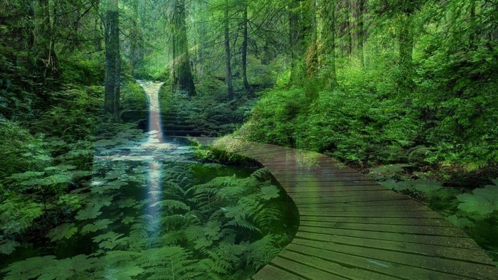 Waterfall and wooden path in a forest