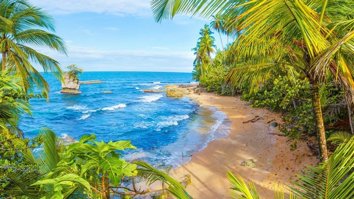 Tropical beach with palm trees and ocean waves