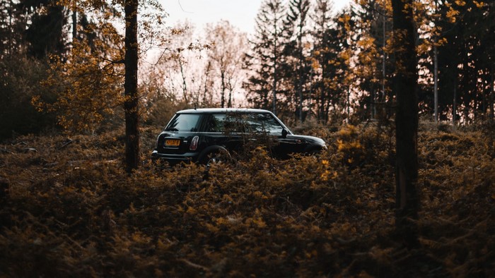 Black Mini Cooper in a forest